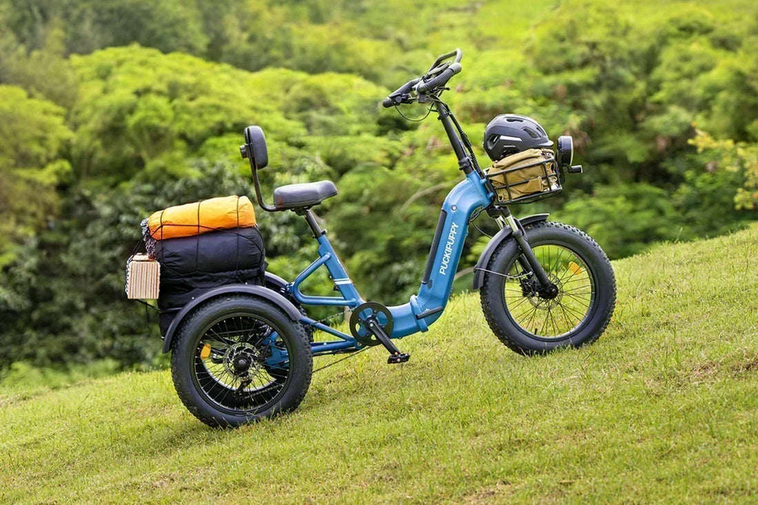 How to Choose an Electric Tricycle: The Complete Beginner's Guide