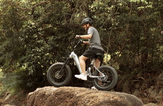 How to Choose an Electric Bike--Puckipuppy