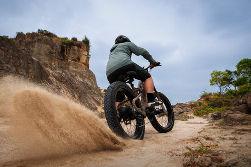 Off-Road Ebike