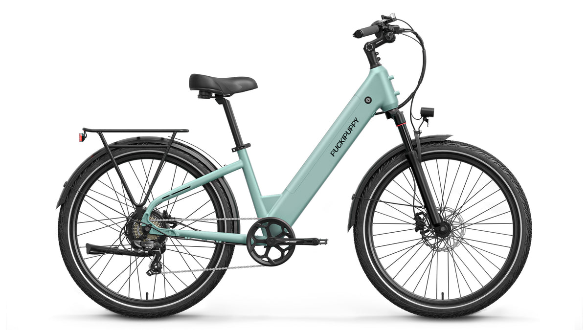 Poodle EbikeSage Green