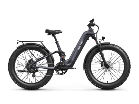 Labrador Pro ST Ebike - Metallic Gray