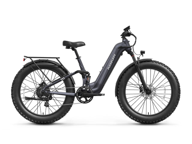 Labrador Pro ST Ebike - Metallic Gray