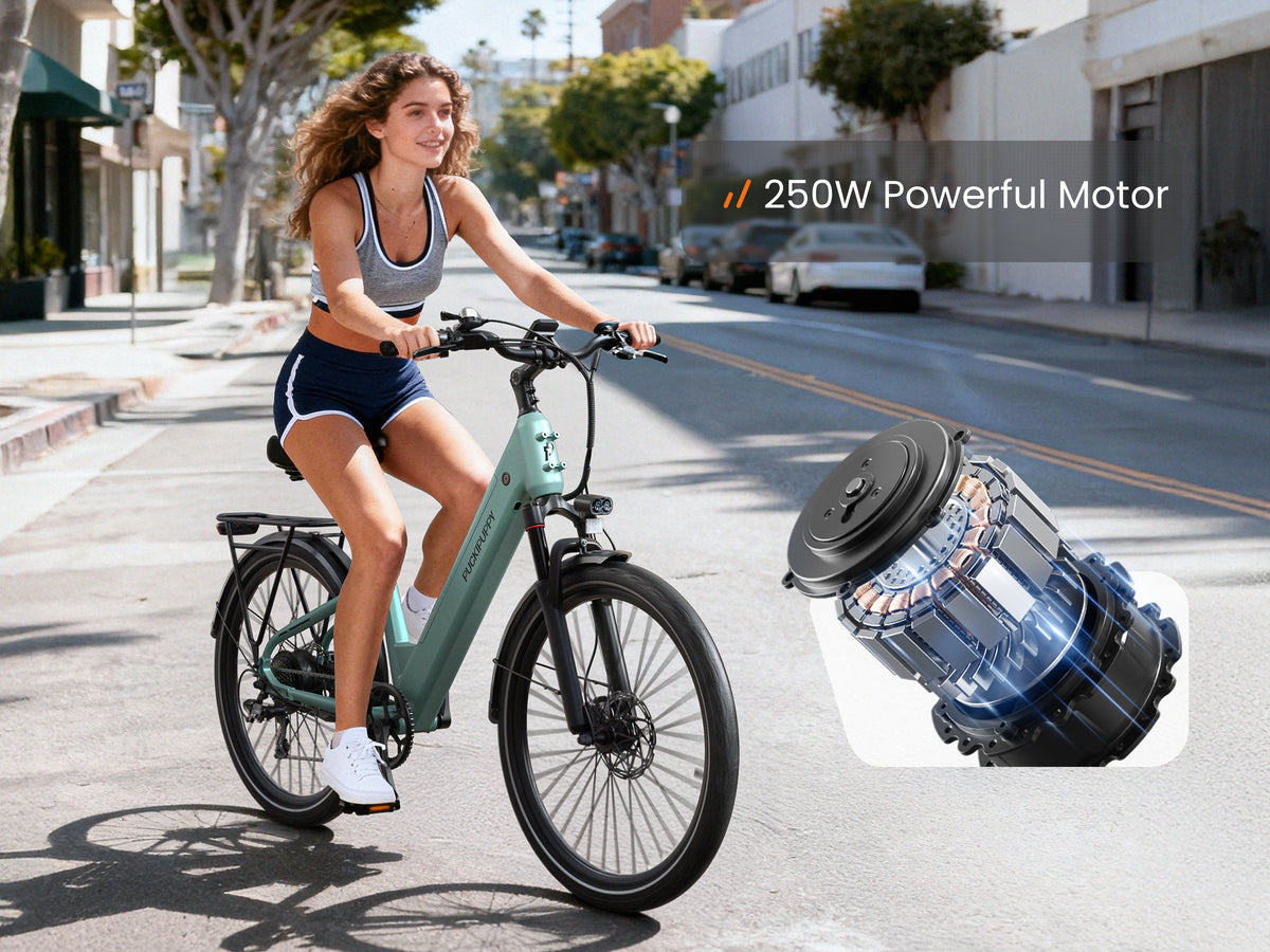 Poodle EbikeSage Green