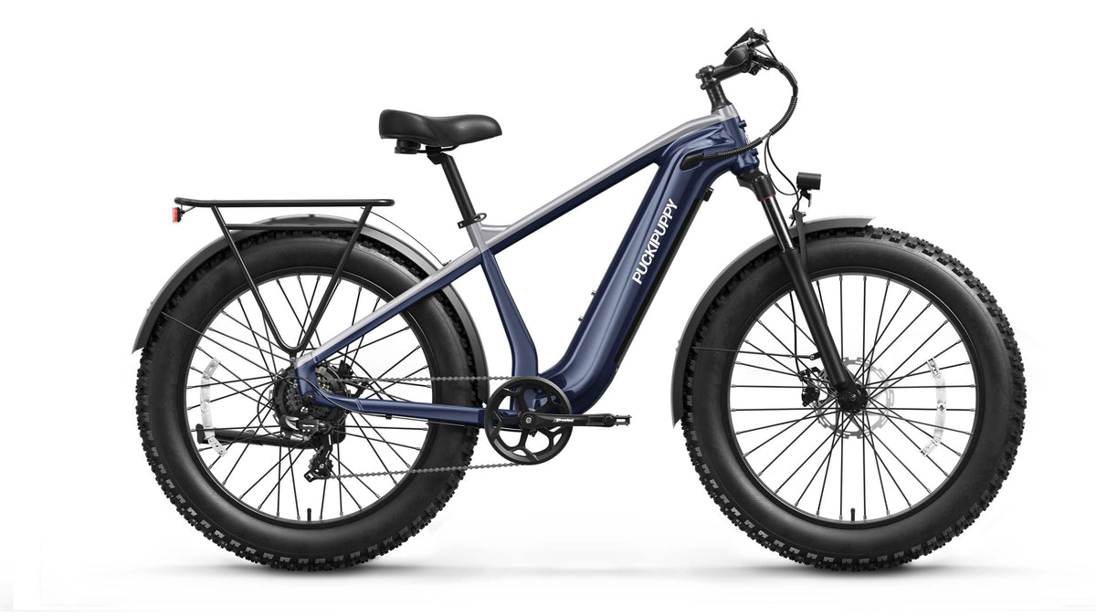Beagle 2 Ebike