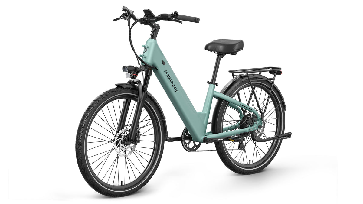 Poodle EbikeSage Green