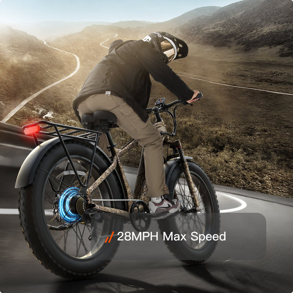 Beagle 2 Ebike