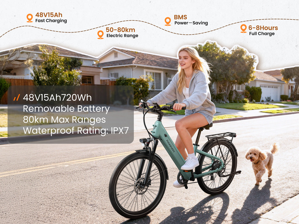 Poodle EbikeSage Green