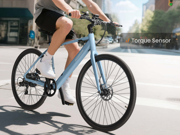 Doberman Ebikeblue