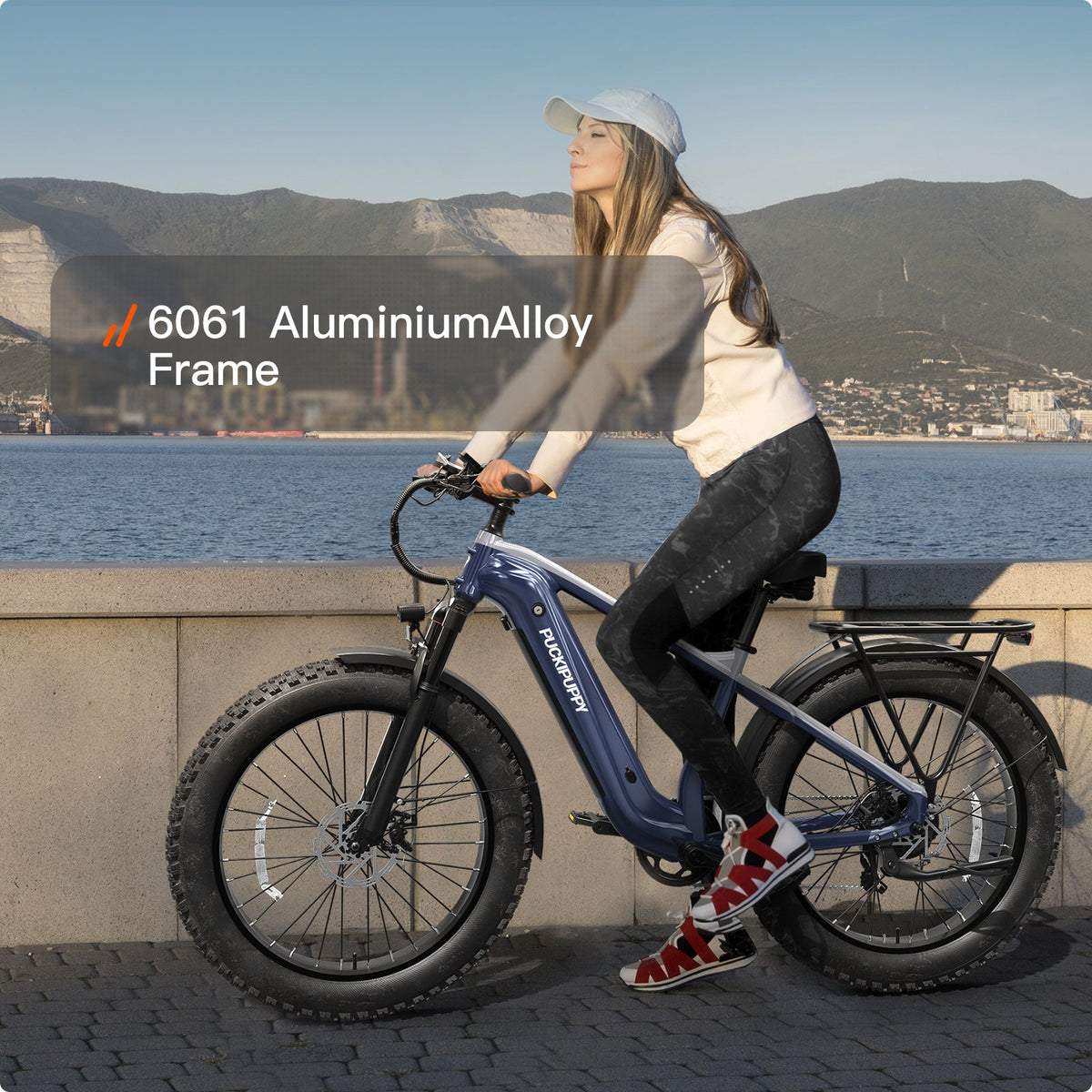 Beagle 2 Ebike