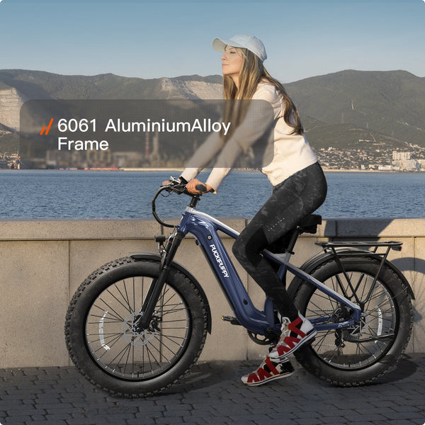 Beagle 2 Ebike