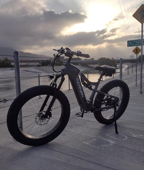 Electric Bike | Fat Tire Electric Bike for All Terrains | PUCKIPUPPY
