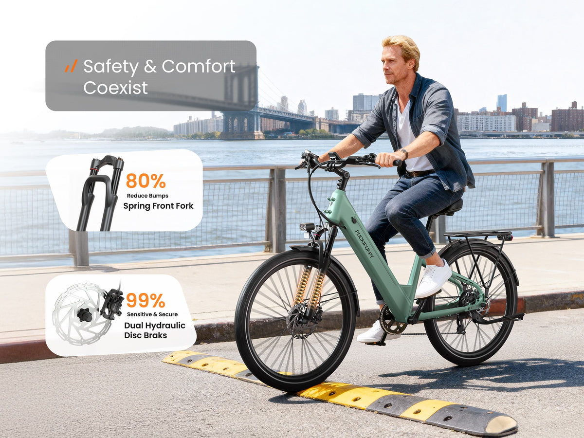 Poodle EbikeSage Green