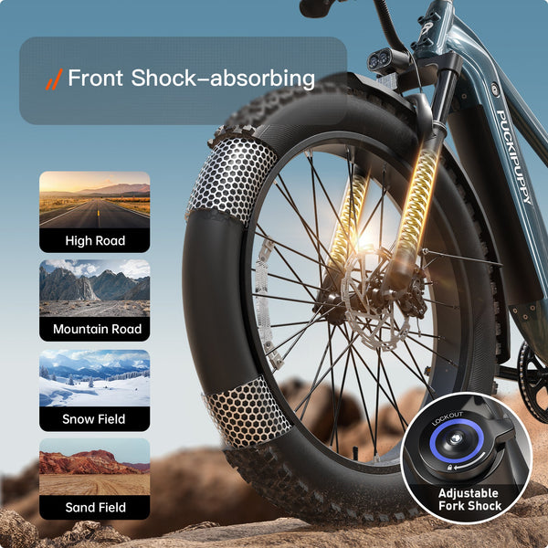 Beagle 2 Ebike