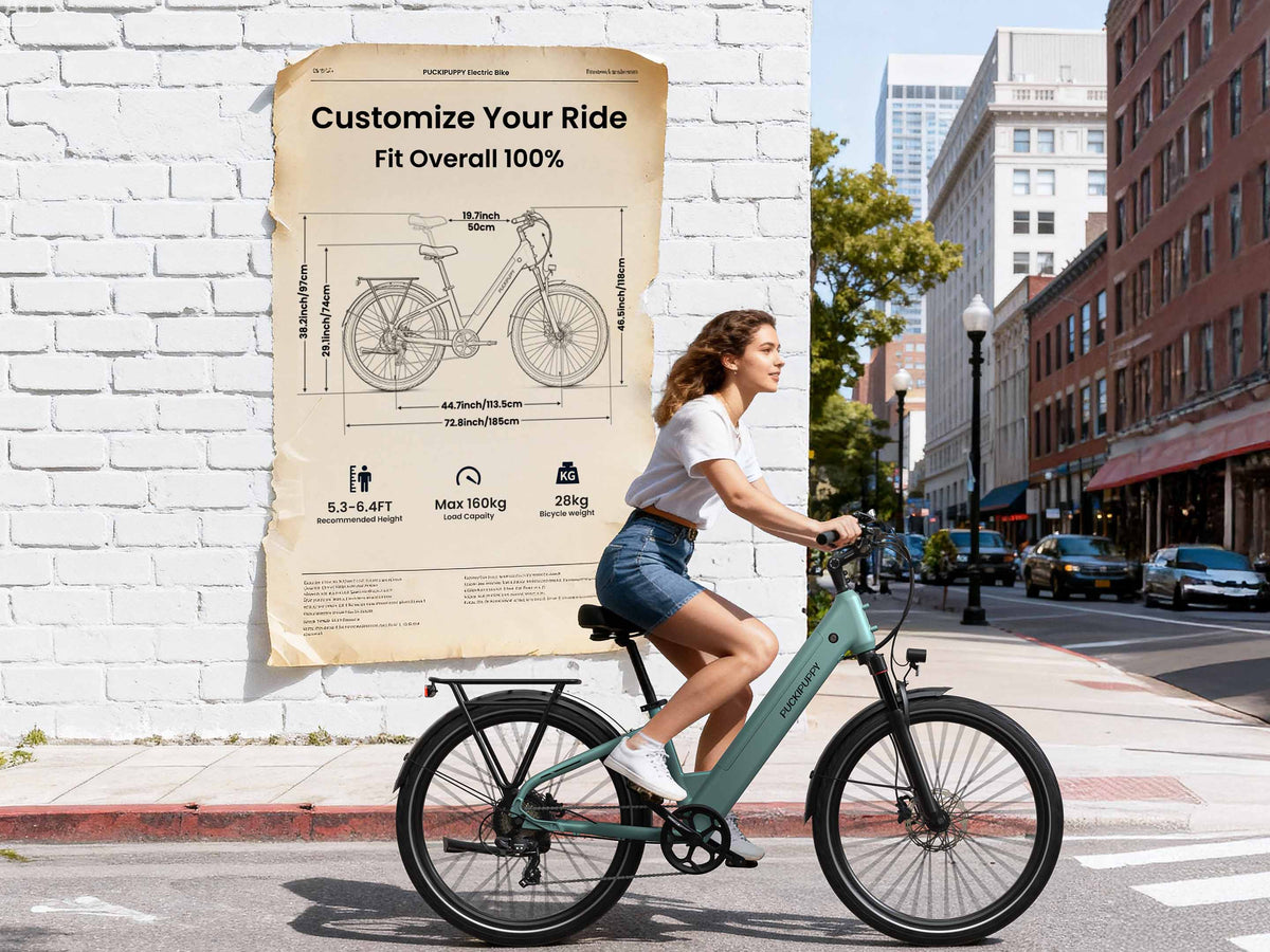 Poodle EbikeSage Green
