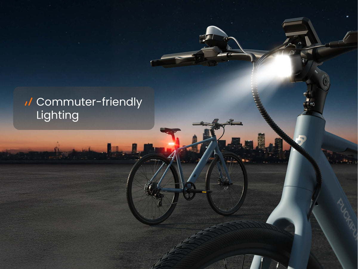 Doberman Ebikeblue
