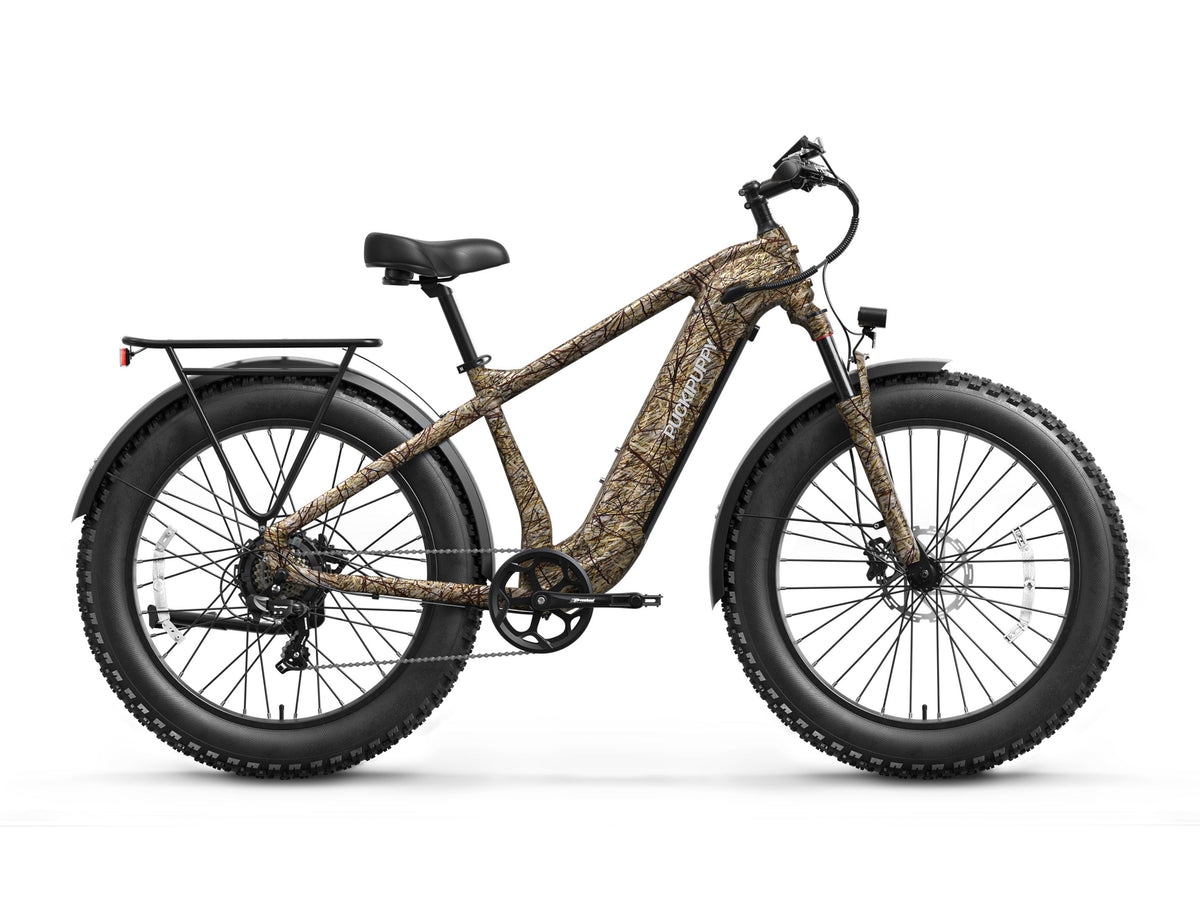 Beagle 2 Ebike