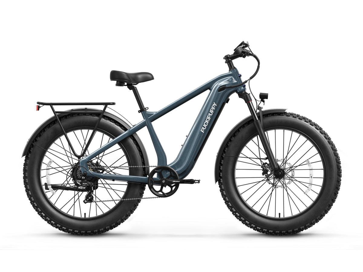Beagle 2 Ebike