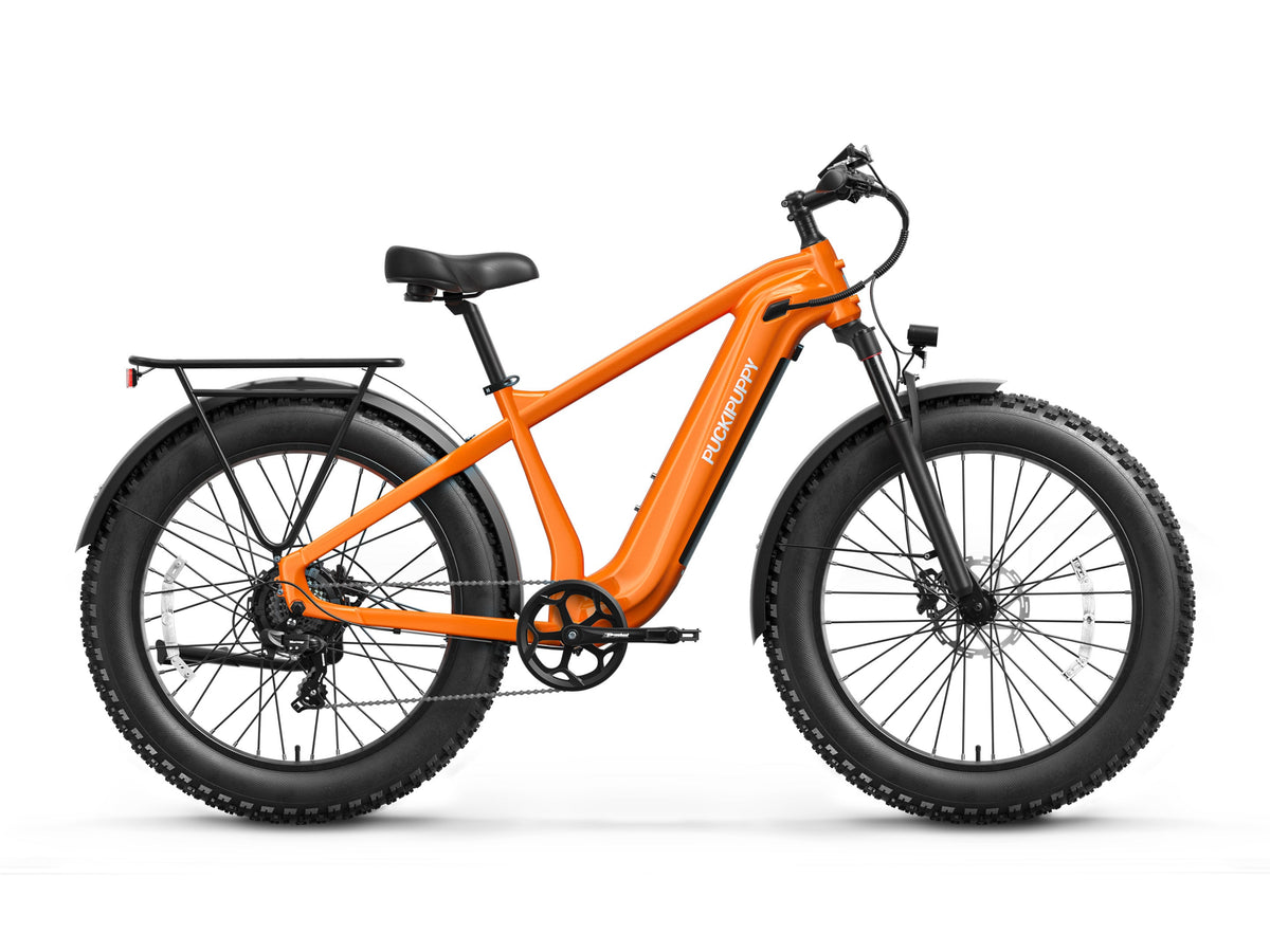 Beagle 2 Ebike