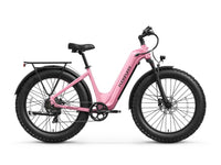 Beagle 2 ST Ebike