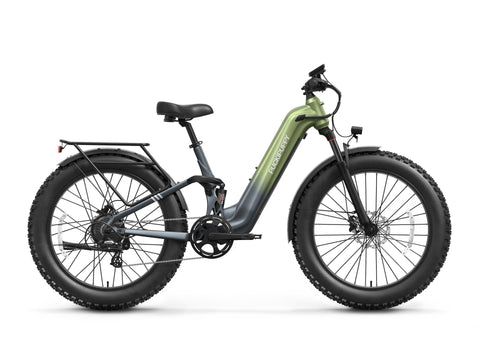 Labrador Pro ST Ebike - Gray-Green