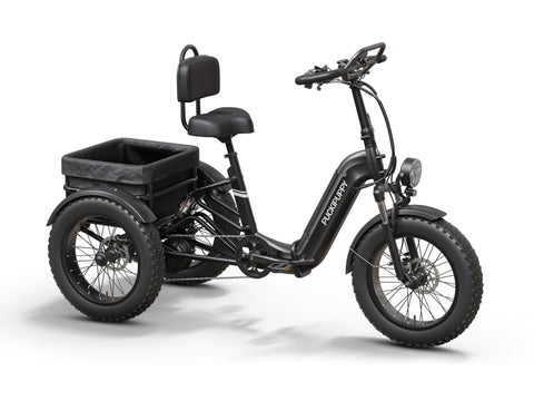 Rottweiler Etrike - Black