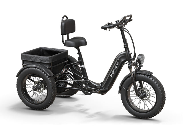 Rottweiler Etrike - Black