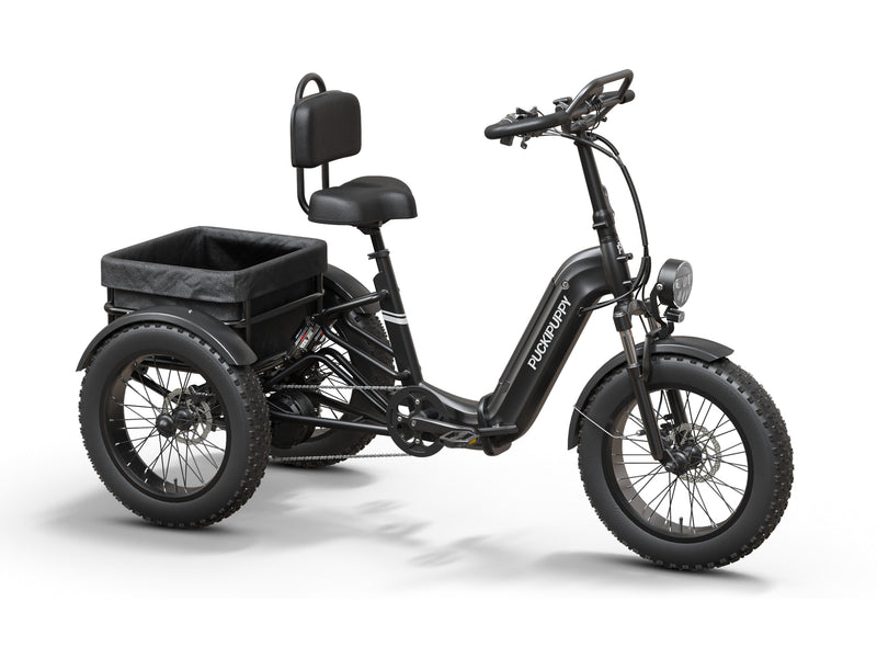 Rottweiler Etrike