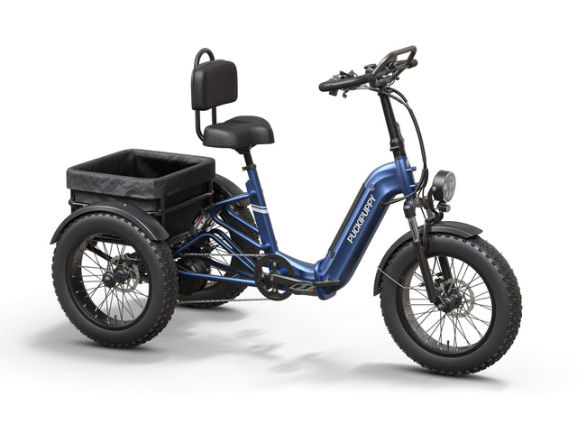 Rottweiler Etrike - Blue